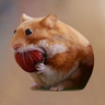 6ZrYhkwvoYE4QqzpdzJ7htEHwT2u2546EkTNJ7qepump