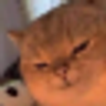 75jh5PfbJn78LMuy7txwmXTb3kYaTi2T4xRtk4a85dQ3