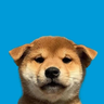 7kWLq9DJDDQMMzUw9cTAsKq5t27DgSepakbW2PjApump