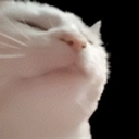8tSeXYSXzFvaDX1nbWrEFFaFuPHuWqpzksKYxQPvpump