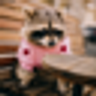 CnfshwmvDqLrB1jSLF7bLJ3iZF5u354WRFGPBmGz4uyf