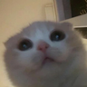 DUhWgHD3KgHHmsYdQdJHDv359bySNzigYcqJ45Gcpump