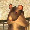 Deha7Vn7rrzg7b3JgMqGh9AEr4VFCekBK9RpFLyYpump