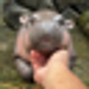 ED5nyyWEzpPPiWimP8vYm7sD7TD3LAt3Q3gRTWHzPJBY