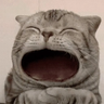 Fh4GcNpEhZJvDDdXhUCe7jxzhqQKZk2NGgDY9zjBbonk