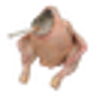 GiG7Hr61RVm4CSUxJmgiCoySFQtdiwxtqf64MsRppump