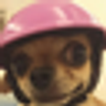 Gr9StSsowuK6NGvUAgJszz8HBw4383CnveZb94e4pump