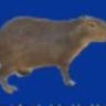 HPkiYH5nsva7od5kjx2RWod7C3ht7C6wqbi6qiPDpump