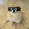 HtTYHz1Kf3rrQo6AqDLmss7gq5WrkWAaXn3tupUZbonk