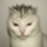 J6Zh9N6AKkFySTpQD3wMbpoetPpwohvuq5YgVWKvpump