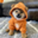 dog1viwbb2vWDpER5FrJ4YFG6gq6XuyFohUe9TXN65u